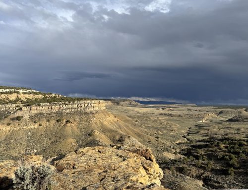 Etude sédimentologique des «Sego Sandstones » dans le Colorado, USA