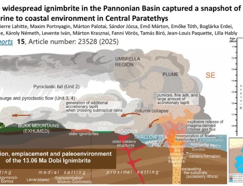A 13.06 Ma widespread ignimbrite in the Pannonian Basin captured a snapshot of shallow marine to coastal environment in Central Paratethys