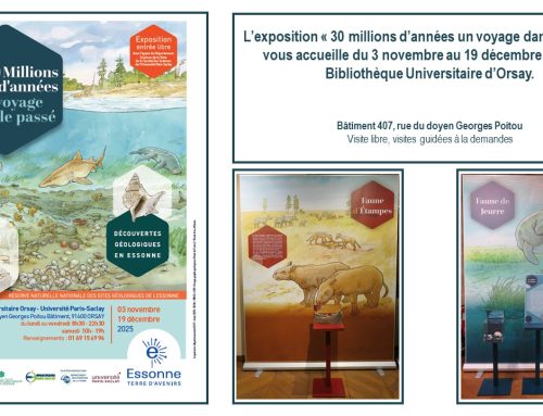 L’exposition “30 millions d’années un voyage dans le passé” est installée à la bibliothèque Universitaire à Orsay du 3 novembre au 19 décembre 2025 (bâtiment 407)