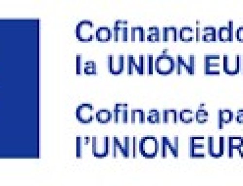 Appel à candidature – bourse de thèse – 04/2026-03/2029