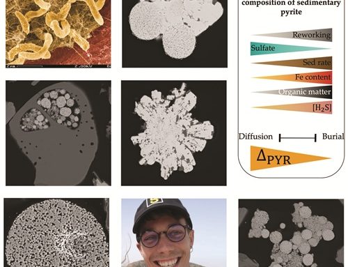 Séminaire – 29 janvier 2026 – Sedimentary and oceanographic controls on the S-isotopic composition of pyrite in modern marine sediment (and sedimentary rocks)