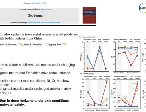 Effects of simulated redox cycles on trace metal release in a red paddy soil profile enriched with Fe-Mn nodules from China