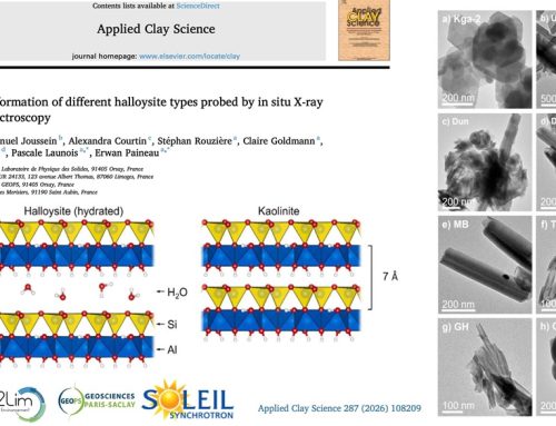 Thermal transformation of different halloysite types probed by in situ X-ray absorption spectroscopy